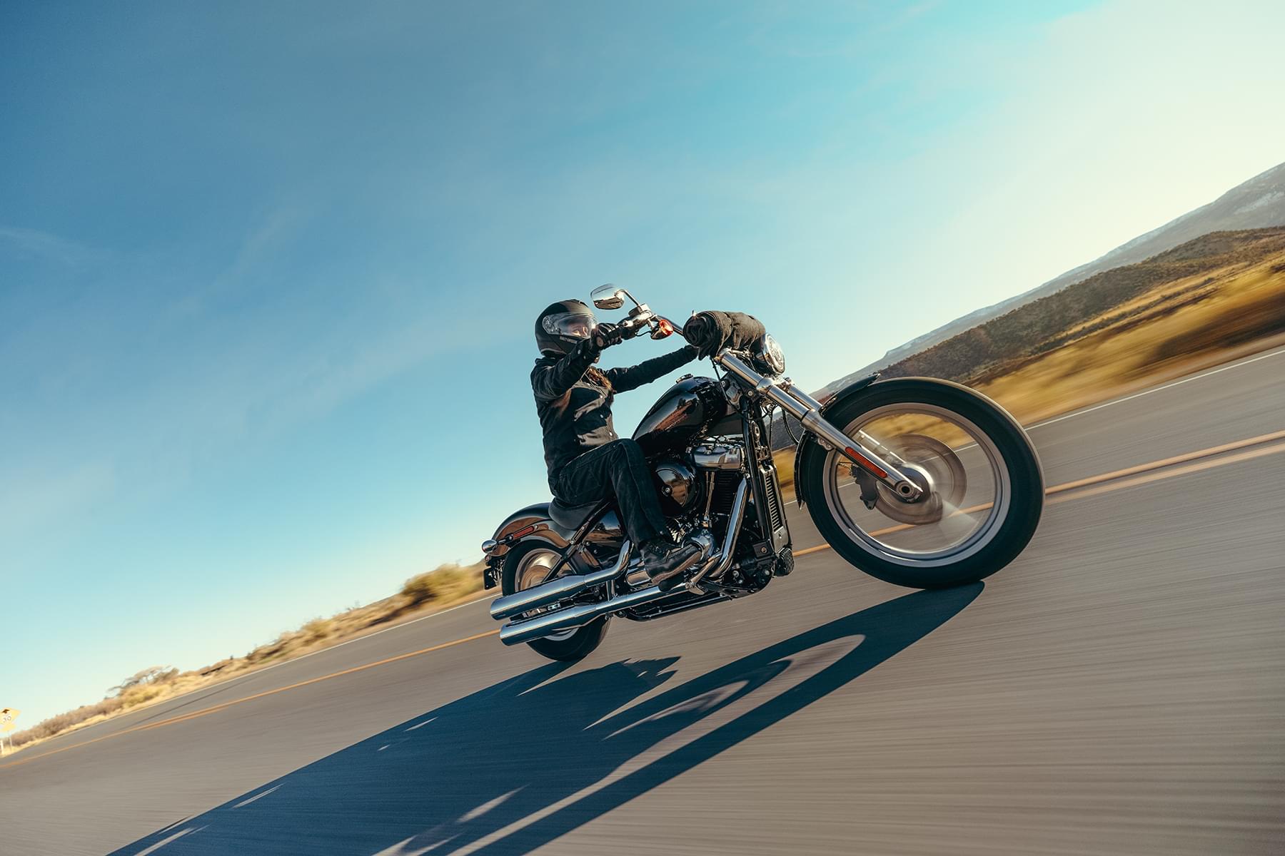 2024 Harley Davidson Softail Standard